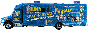 spay and neuter for free near me