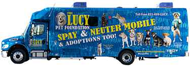 low income pet neutering near me