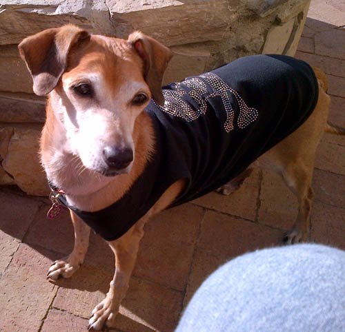 In memory of our Little Girl