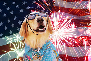 4th July Pet Tips