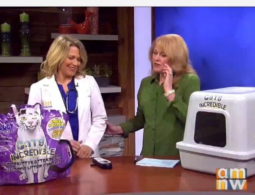 Karen “Doc” Halligan on KATU 2