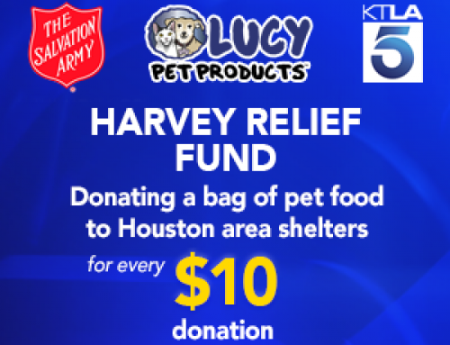 Helping Pets and People Impacted by Hurricane Harvey