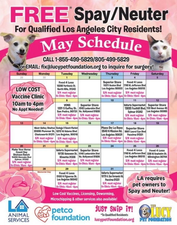 May Calander The Lucy Pet Foundation