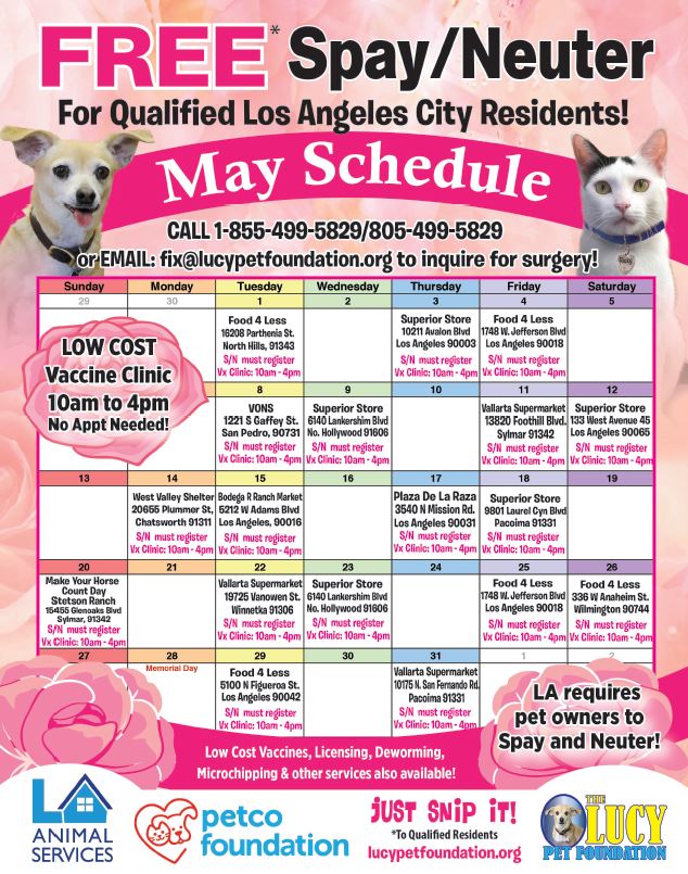 May Calander The Lucy Pet Foundation