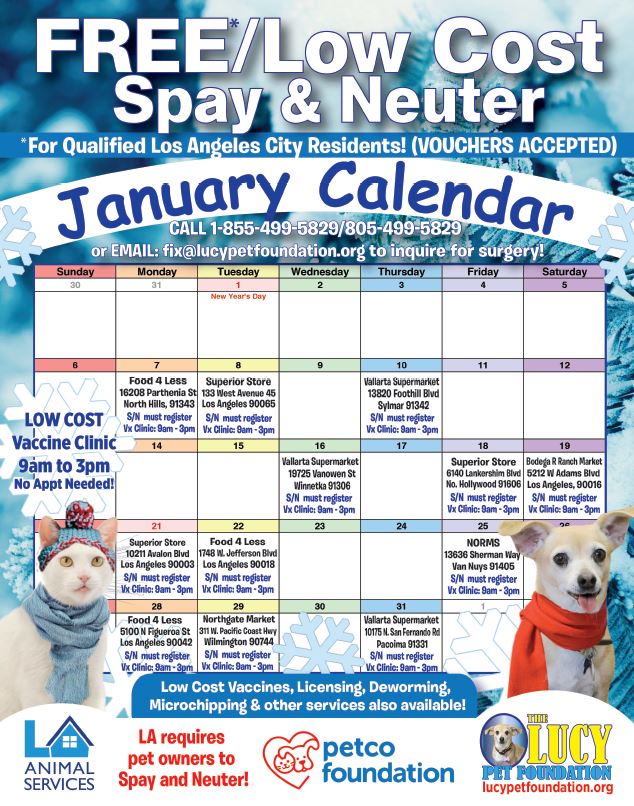 Booking Form The Lucy Pet Foundation