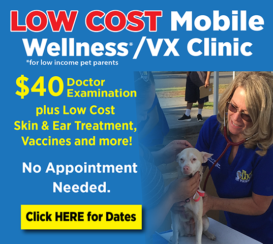 Low Cost Pet Vaccinations Houston Petswall