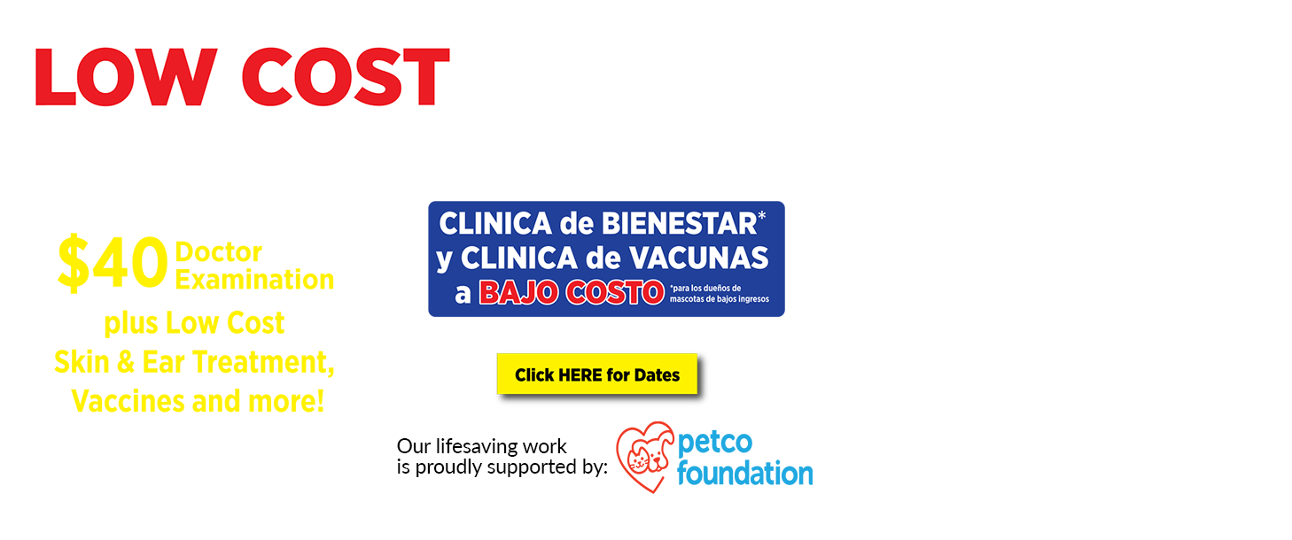 The Lucy Pet Foundation NonProfit Mobile Spay/Neuter Clinic