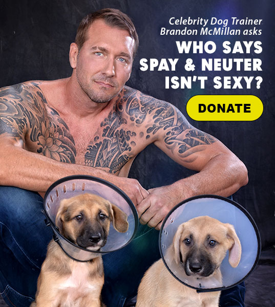The Lucy Pet Foundation NonProfit Mobile Spay/Neuter Clinic