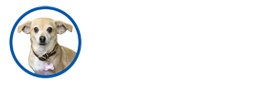 The Lucy Pet Foundation