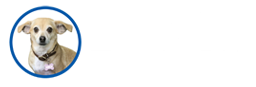 The Lucy Pet Foundation